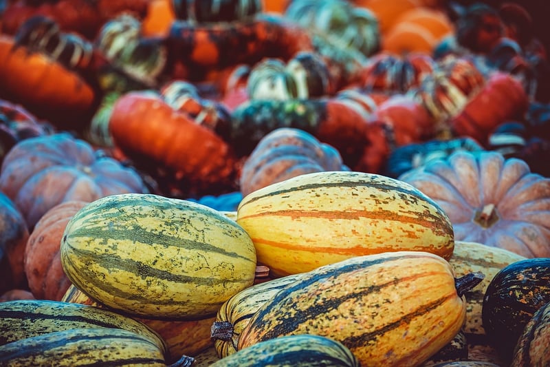 Seasonal Displays